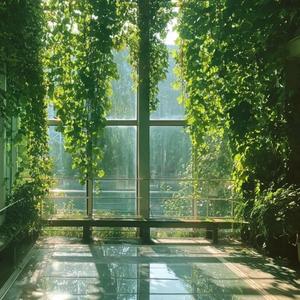 Dappled Light