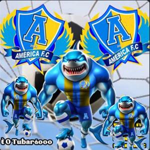 DIRETORIA - AMERICA