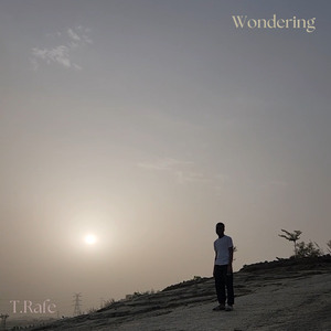 Wondering