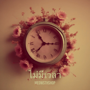 ไม่มีเวลา