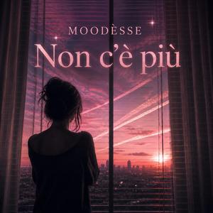Non c'è più