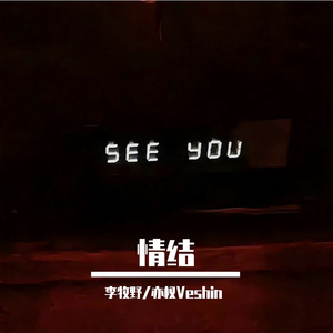 情结