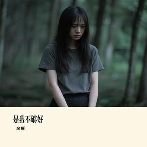 是我不够好 (Cover 李毓芬)