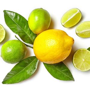 Lemon 超萌钢琴版（翻自 米津玄師）