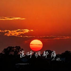 连呼吸都痛