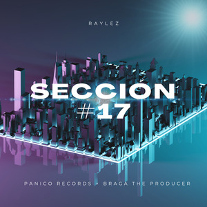 Seccion #17