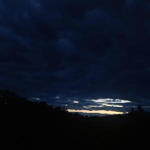 我在昨天的梦里又看见了你