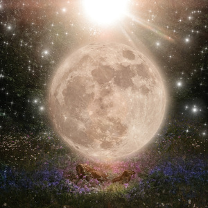 Dreamtime (Meditation)