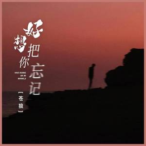 好想把你忘记