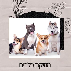 מוזיקה לכלבים