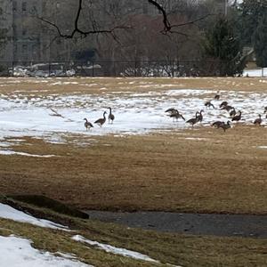 Green Glens of Gweedore