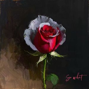 So what？（Prod.赖建宜）