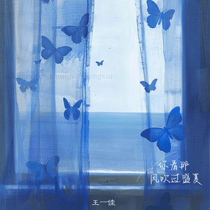 你看那风吹过盛夏