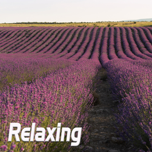 It's Just Ordinary Stories