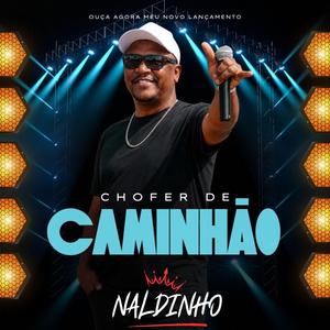 Chofer de caminhão