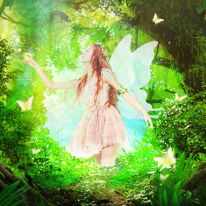 森林之子（中文版）