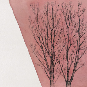 María Teresa León en el homenaje a Picasso (Vallauris 1961)