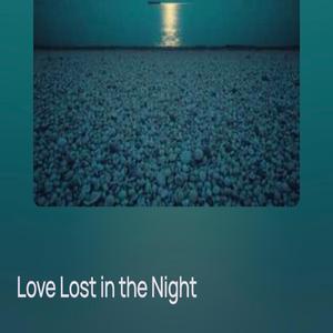 Love lost in the night