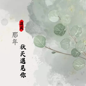 那年冬天遇见你