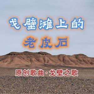 戈壁滩上的老皮石