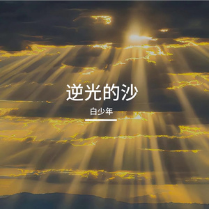 逆光的沙