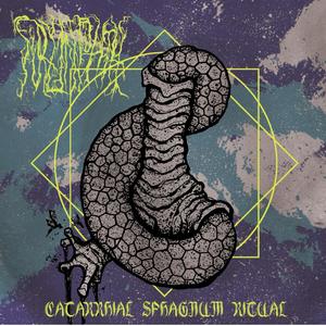 Human Spoor Pungence