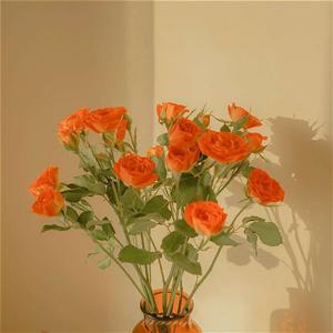 ～2019~予你成歌