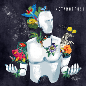 Metamorfosi