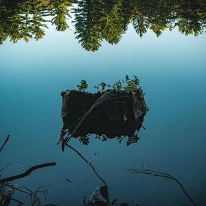 Floating nature