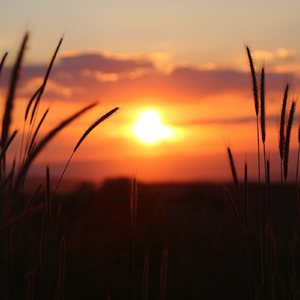 Full Moon Meditation