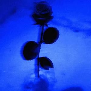 i’m still here, somehow