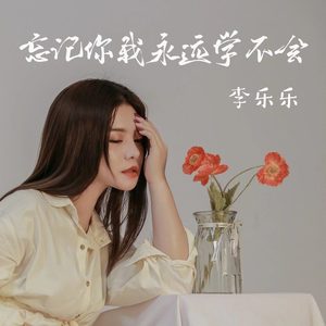 忘记你我永远也学不会 (DJ默涵版)