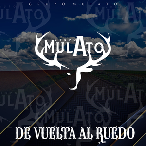 Te Vi Bonita (En vivo)