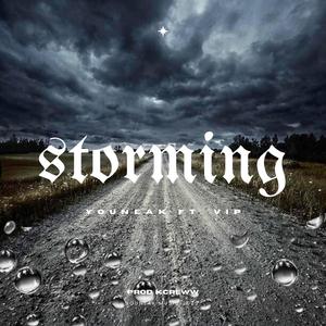 Storming (feat. V.I.P.)