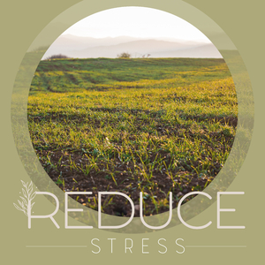 100 Hz Awakening Intuition