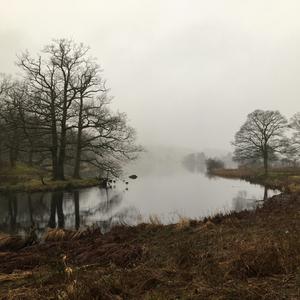 Alejandome (Pandemia Version)