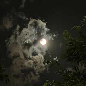 Moth To A Flame（Eros Remix）