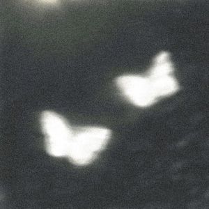 [Free]"蝶"-d4vd x Joji Type Beat