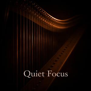 Quiet Focus