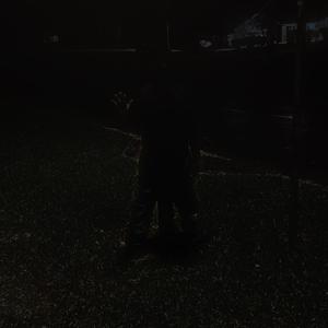 D0VER STR33T MARK3T 2 (feat. xiyuh)