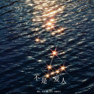 不是爱人