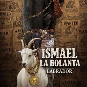 Ladrador