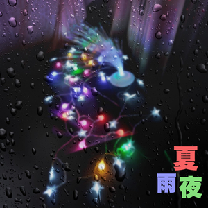 夏雨夜
