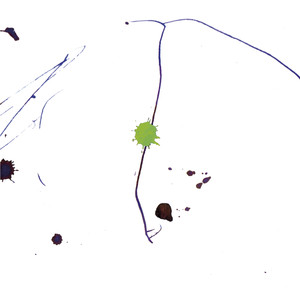 Tuomioistuin pui Le Fetin rikosta yhteisöä kohtaan