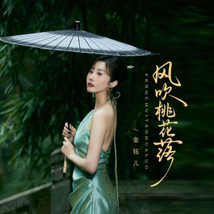 风吹桃花落 (DJ嘉年华版伴奏)