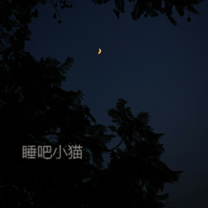 睡吧小猫