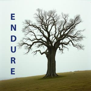 Endure