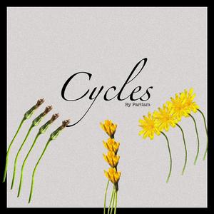 Cycles