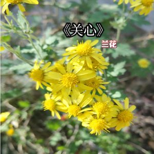 关心