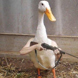 梦庄